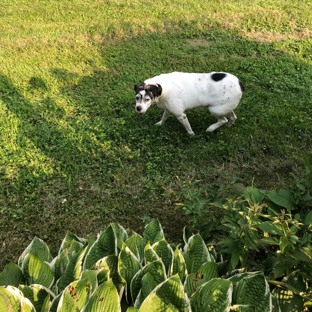 Meet your Posher, Kailey